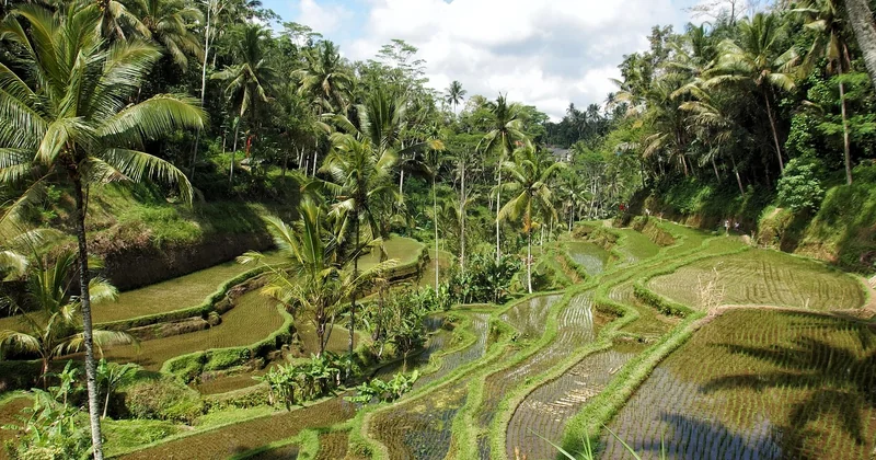 Ubud, Canggu oder Uluwatu – welcher Ort passt zu Ihnen?