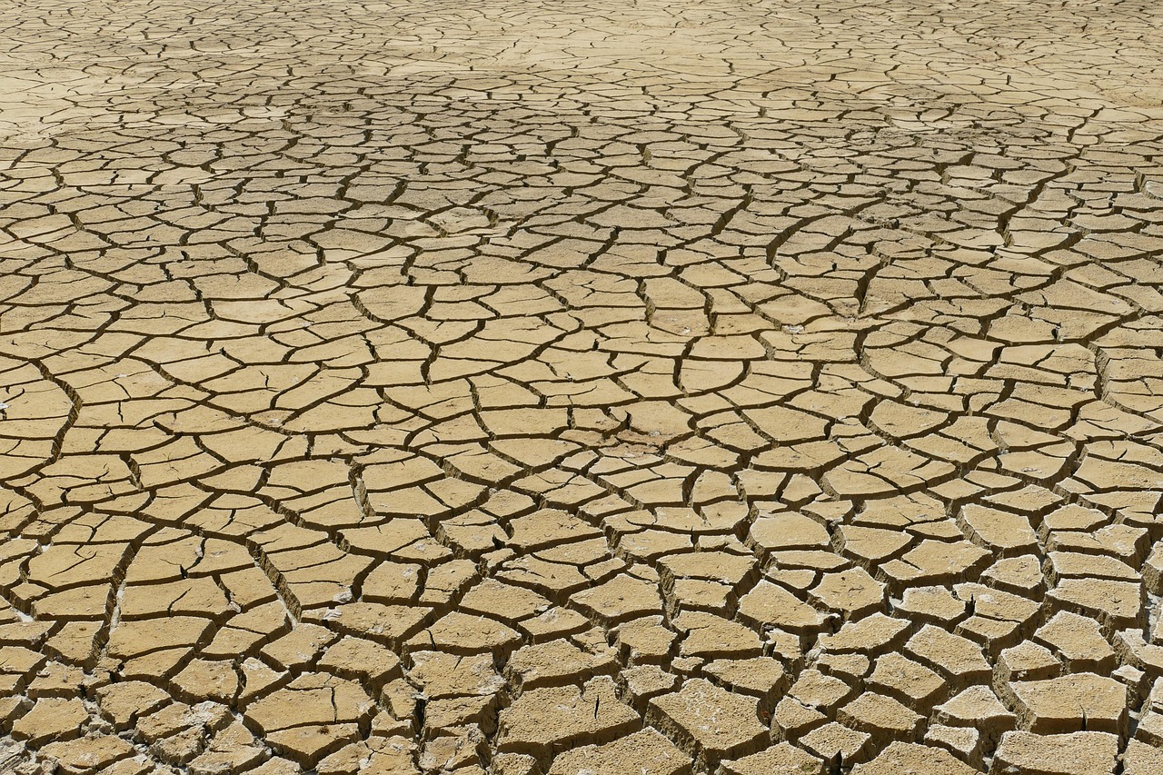 erfahren sie alles über dehydration: ursachen, symptome, prävention und behandlung von flüssigkeitsmangel. bleiben sie gesund und hydriert mit unseren tipps!